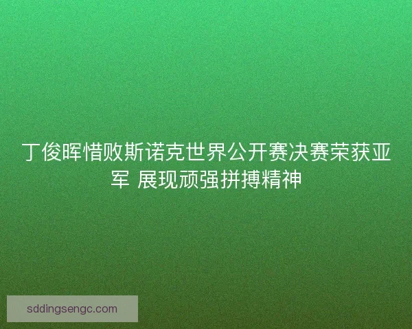 丁俊晖惜败斯诺克世界公开赛决赛荣获亚军 展现顽强拼搏精神
