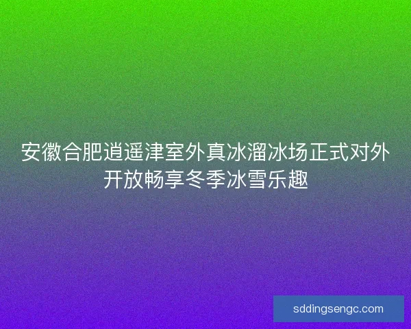 安徽合肥逍遥津室外真冰溜冰场正式对外开放畅享冬季冰雪乐趣