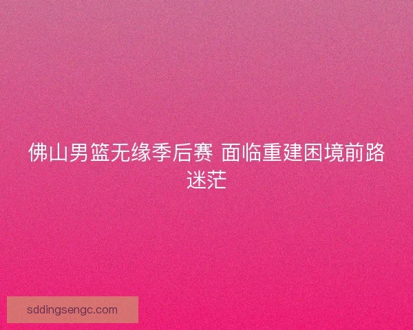 佛山男篮无缘季后赛 面临重建困境前路迷茫 佛山男篮无缘季后赛 面临重建困境前路迷茫